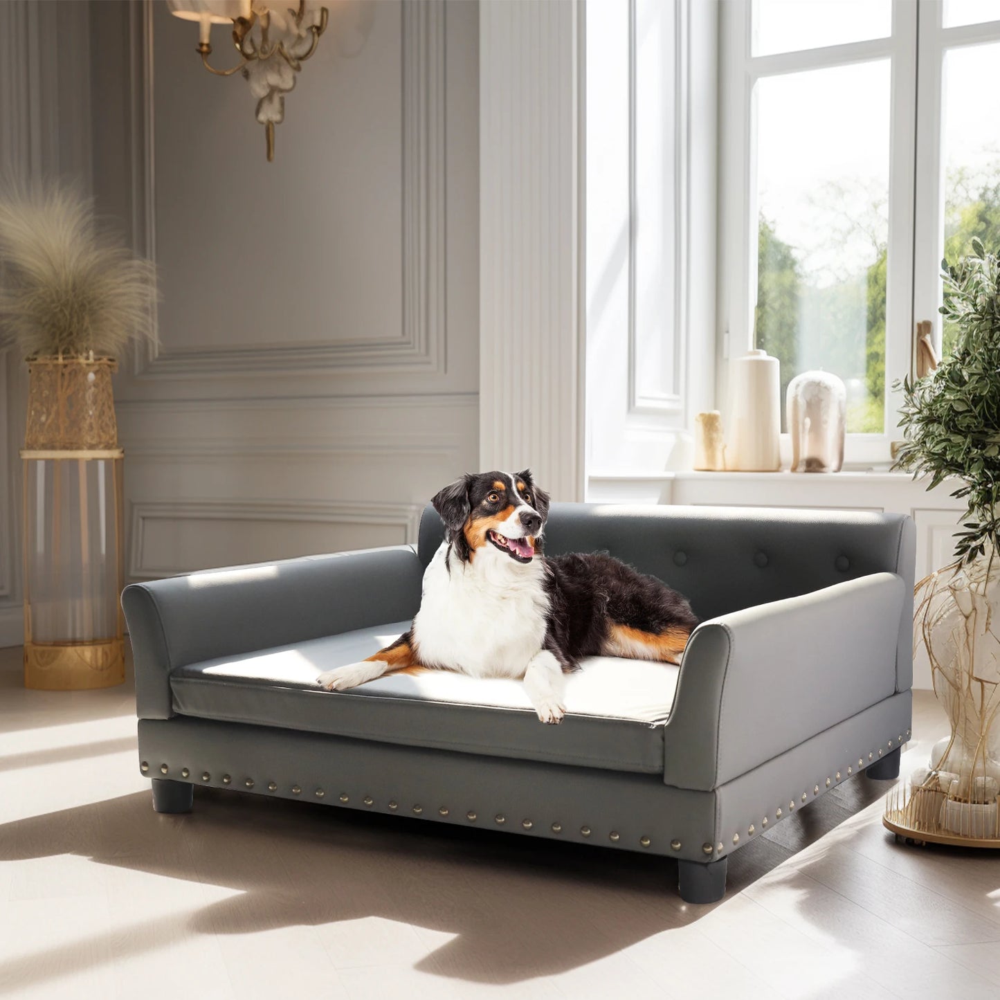 Bingopaw Elevated Rectangle Pet Bed for Dogs Durable Sofa Bed