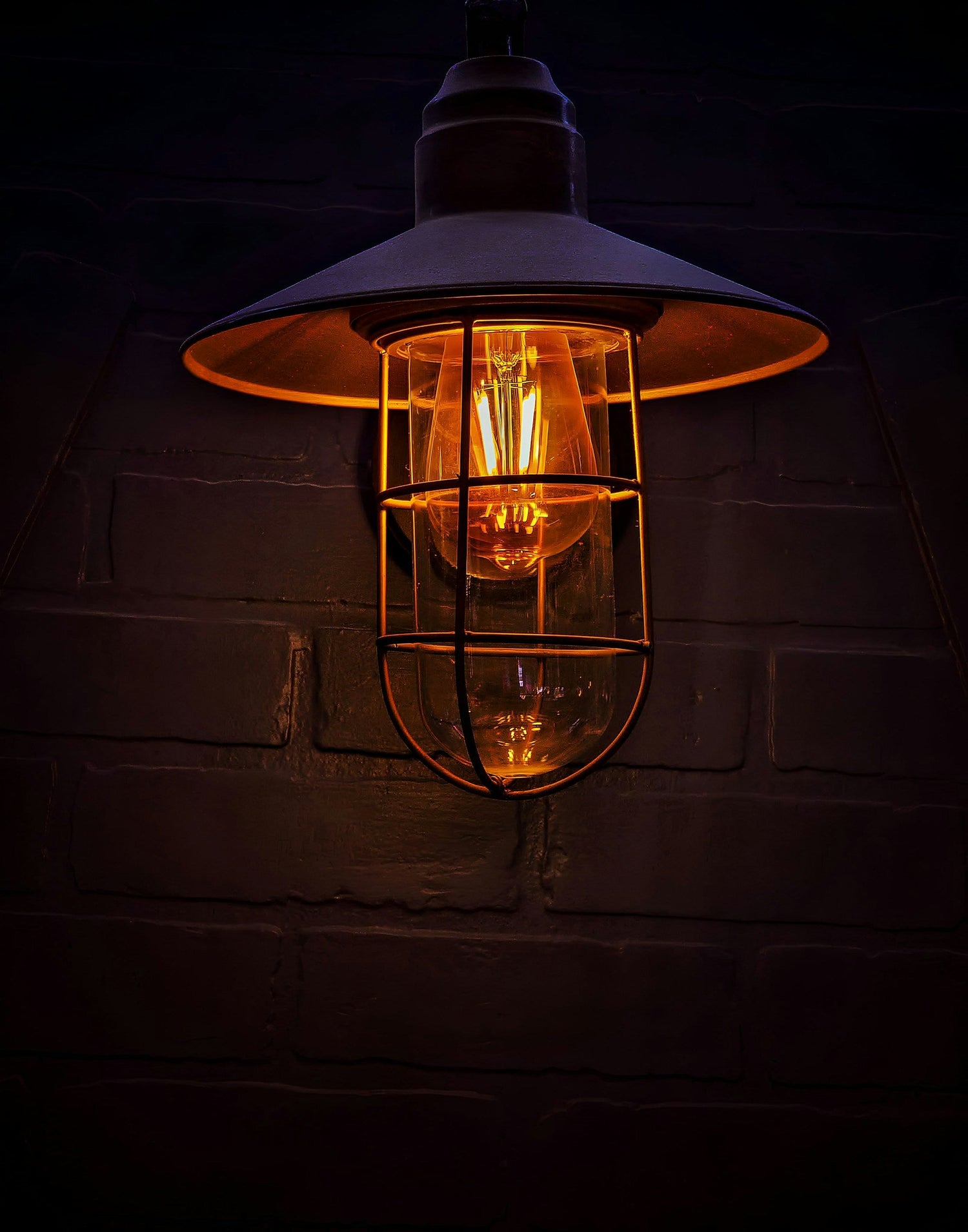 Lighting & Signs