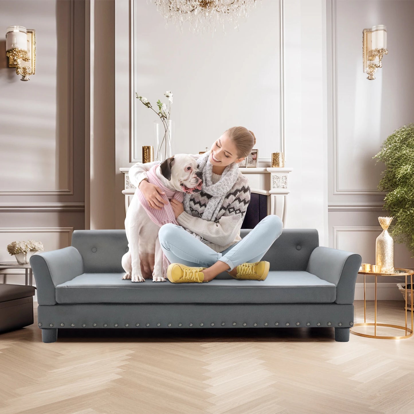 Bingopaw Elevated Rectangle Pet Bed for Dogs Durable Sofa Bed