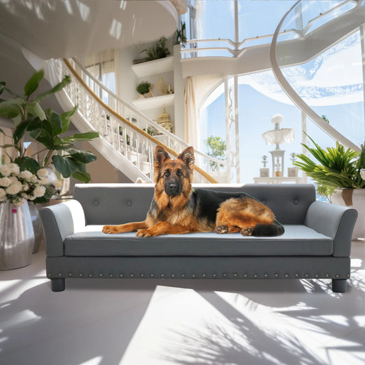 Bingopaw Elevated Rectangle Pet Bed for Dogs Durable Sofa Bed